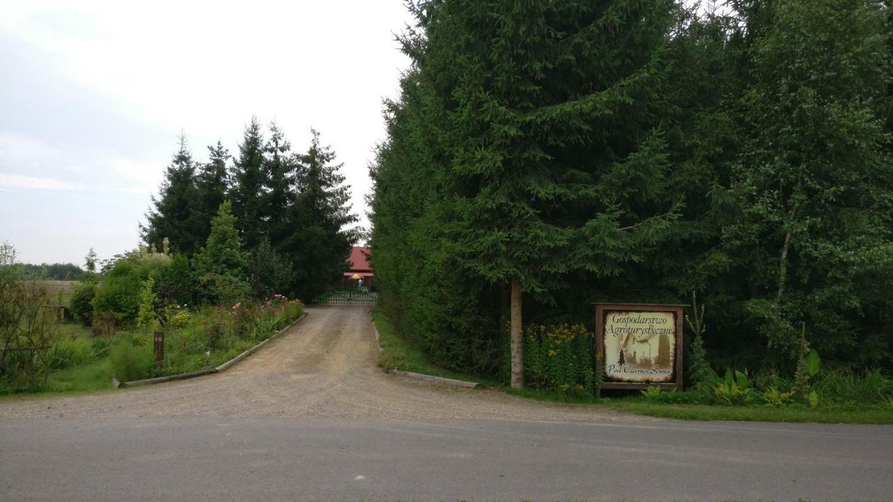 Agroturystyka Pod Czarna Sosna Bialy Lug Exterior photo