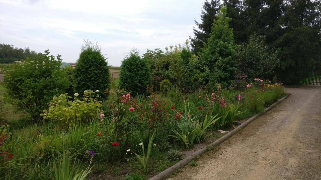 Agroturystyka Pod Czarna Sosna Bialy Lug Exterior photo
